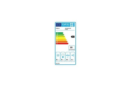 Hotte aspirante décorative murale Roblin décorative inclinée inox verre largeur 80cm