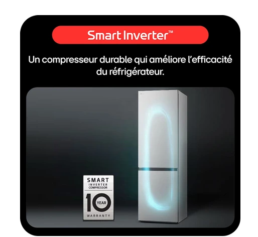 Réfrigérateur congélateur en bas Lg GBV22NCDPY