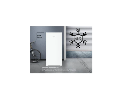 Congélateur armoire Liebherr FNA 6635-20